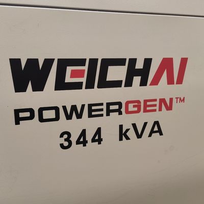 Methane Gas Electric Generator 250kw 3 Phase with Weichai Engine and CE/ISO Certificate