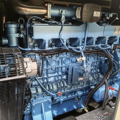 Methane Gas Electric Generator 250kw 3 Phase with Weichai Engine and CE/ISO Certificate
