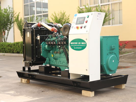 200kW 250kva Biogas Propane Generator Natural Gas Silent Canopy LPG Gas Generator with 1