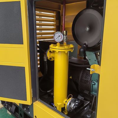 CE ISO 400/230V 50/60HZ 187.5 kva 150 kW LPG Gas Generator Set for Russian Market