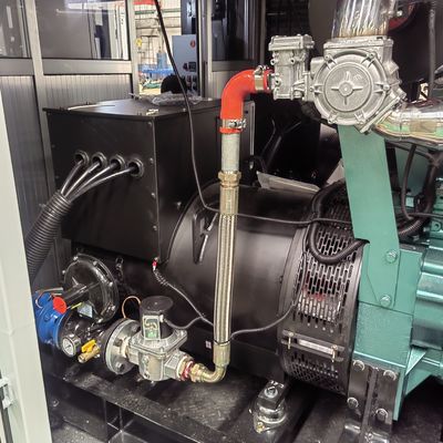 1MW 2MW Natural Gas Generator Single Phase 3 Phase Biogas Good Genset IP23 Protection Class