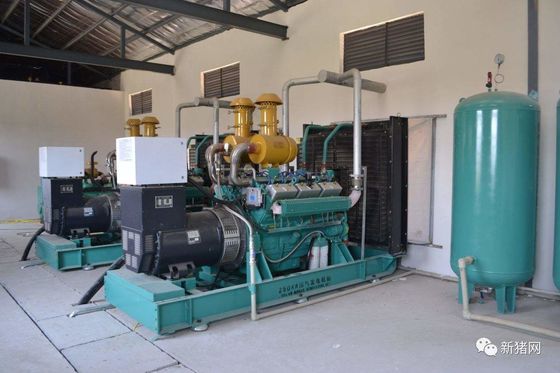 50HZ/60HZ Frequency Natural Gas 250kw SINOTRUK T12D Standby Generator for Manufactory