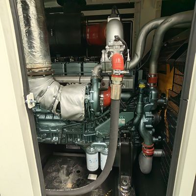 Best 312.5KVA Biogas CNG Power Genset Plant with Water Cooled Method and Remote Start