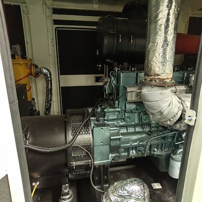 Best 312.5KVA Biogas CNG Power Genset Plant with Water Cooled Method and Remote Start