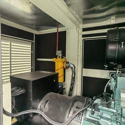 Best 312.5KVA Biogas CNG Power Genset Plant with Water Cooled Method and Remote Start