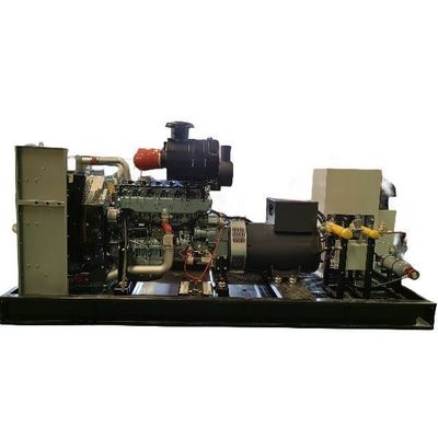 Water Cooled Method and IP23 Protection Class 250kw Methane Gas Generator for Biomass