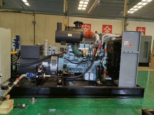 Water Cooled Method and IP23 Protection Class 250kw Methane Gas Generator for Biomass