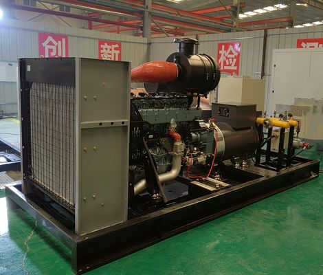 Water Cooled Method and IP23 Protection Class 250kw Methane Gas Generator for Biomass