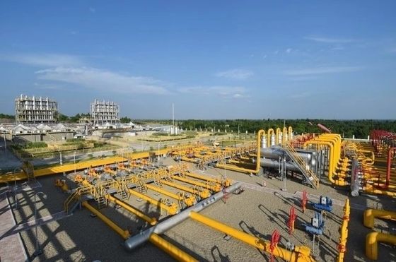 250kw 150kw 200kw 50/60HZ Water Cooling Biogas Natural Gas Genset IP23 Protection Class