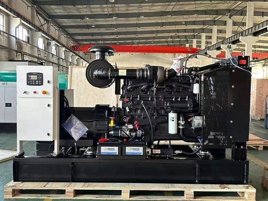 Low Noise 120kw Water Cooled Methane Gas Biogas Generator Set with 216A Rated Current