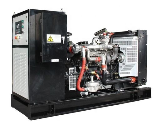 50HZ/60HZ Frequency Open Frame Gas Bio Gas Generator for Customized Requirements