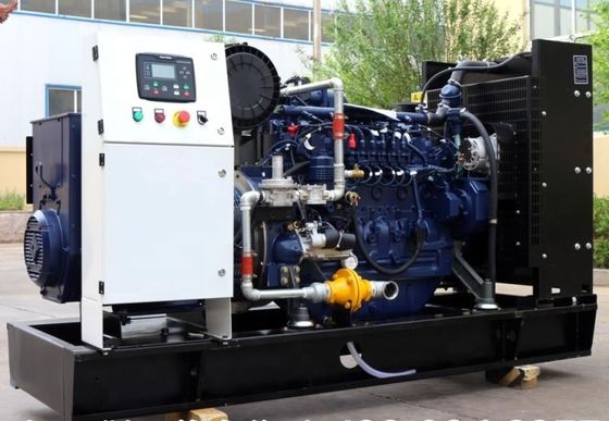 50HZ/60HZ Frequency Open Frame Gas Bio Gas Generator for Customized Requirements