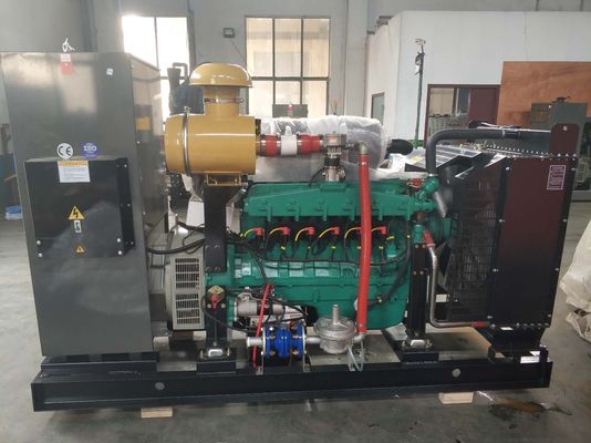 50HZ/60HZ Frequency Open Frame Gas Bio Gas Generator for Customized Requirements
