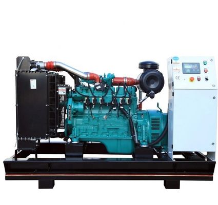 50KW Natural Gas Biogas LPG Generator Set with Soundproof Canopy IP23 Protection Class