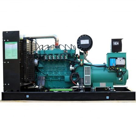 Energy-saving 300KW Natural Gas Generator Set for Russian Market