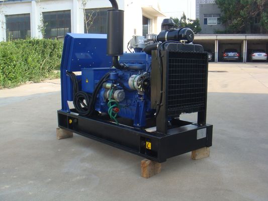 CE/ISO Certified 10kw 15kw 22kw Small Biogas Gas Electricity Generator Cogeneration Plant