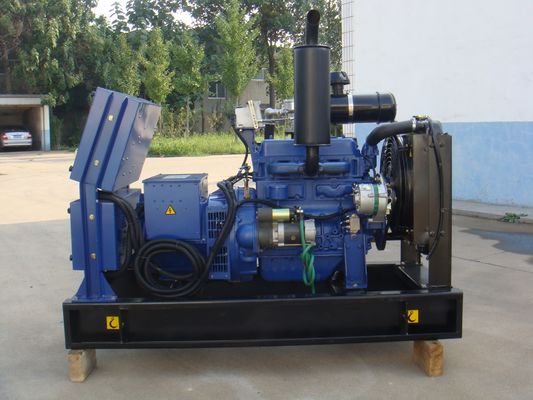 CE/ISO Certified 10kw 15kw 22kw Small Biogas Gas Electricity Generator Cogeneration Plant