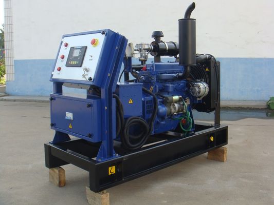 CE/ISO Certified 10kw 15kw 22kw Small Biogas Gas Electricity Generator Cogeneration Plant