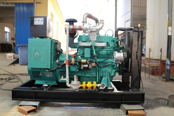 Key Start Super Silent Type Natural Gas Biogas Generator with 50HZ/60HZ Frequency