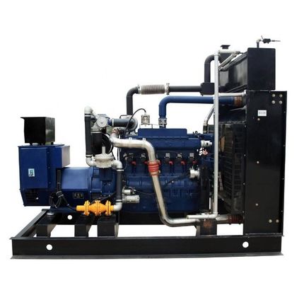 216A Rated Current 120kW Natural-biogas Cogeneration Biomass Power Plant in 50/60hz