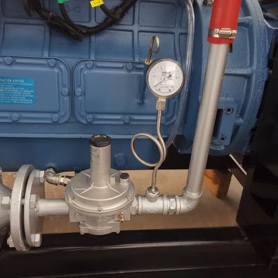 80kw 100kw 120kw 150kw 200kw Cogeneration Biogas Natural Gas LPG Generator for Industrial